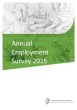 
            Image depicting item named Annual Employment Survey 2015