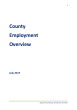 
            Image depicting item named County Employment Overview
